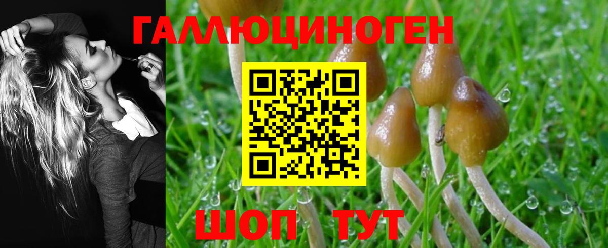 Галлюциногенные грибы Psilocybine cubensis Саки