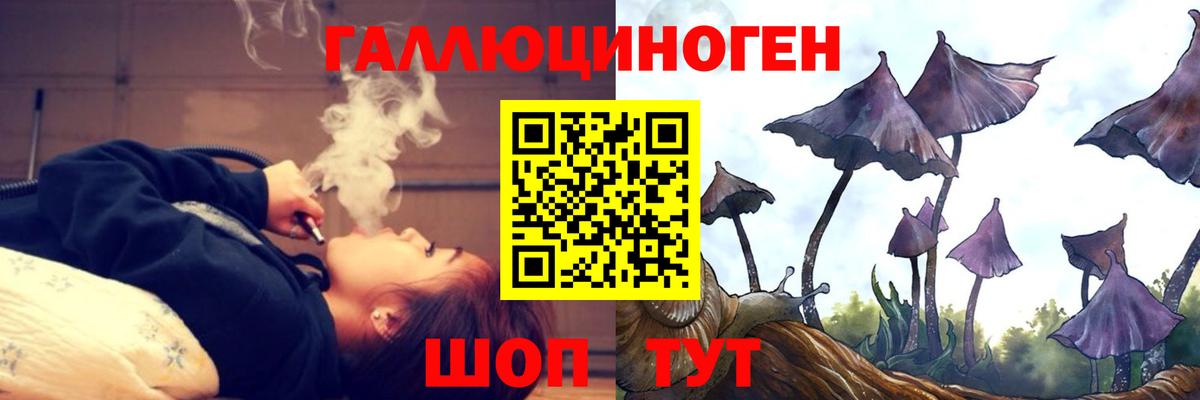Псилоцибиновые грибы Psilocybe  Псилоцибиновые грибы Cubensis  Саки  Вход с VPN 
